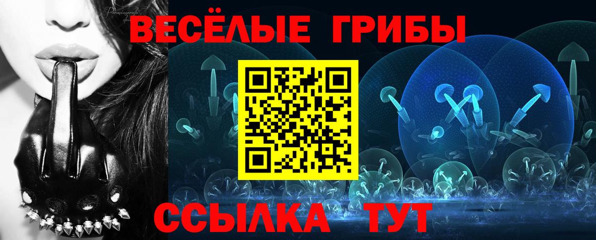 Псилоцибиновые грибы GOLDEN TEACHER Котовск