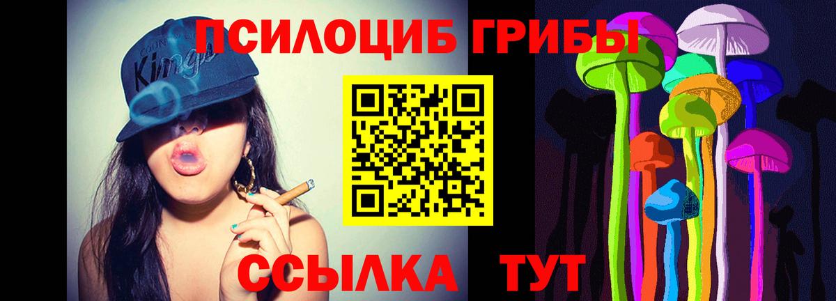 Галлюциногенные грибы мицелий  Псилоцибиновые грибы ЛСД  Вход с VPN  Котовск 